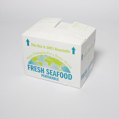 Scatola di cartone vuoto in PP leggera e resistente agli urti, realizzata in materiale riciclabile, resistente, riutilizzabile e ideale per soluzioni di imballaggio ecologiche.