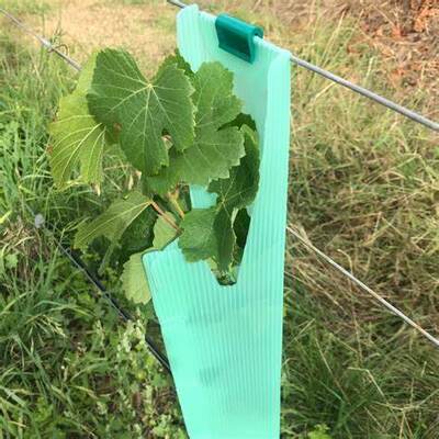 PP Tree Guard è leggero, resistente, impermeabile e facile da installare, che protegge i giovani alberi dal vento, dagli animali e dai danni, con dimensioni, colori, spessori e disegni personalizzabili.