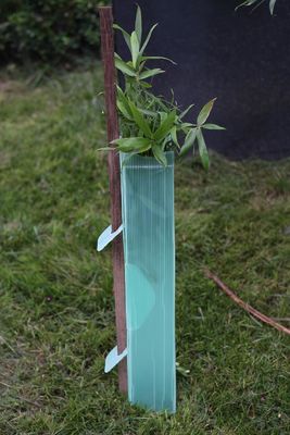 I pp hanno ondulato le guardie di plastica di Corflute Sustainable Tree della guardia dell'albero