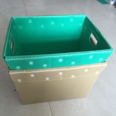 4.5mm 5.5mm hanno ondulato il recipiente ondulato di plastica del pesce pp della scatola di imballaggio