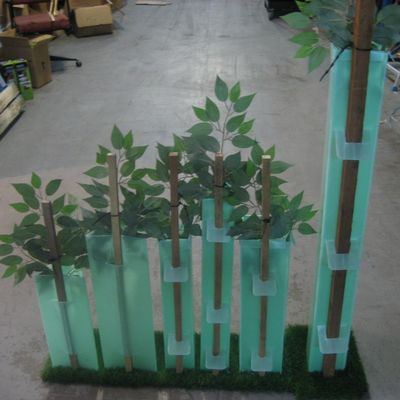 I pp hanno ondulato le guardie di plastica di Corflute Sustainable Tree della guardia dell'albero