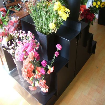 Attrezzatura di esposizione floreale nera del negozio di fiore di punto del banco di mostra di Corflute pp 4