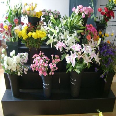 Attrezzatura di esposizione floreale nera del negozio di fiore di punto del banco di mostra di Corflute pp 4