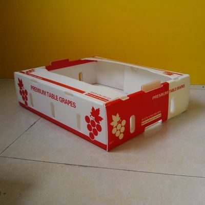 Contenitori ondulati di polipropilene 5mm per l'imballaggio della frutta impermeabile