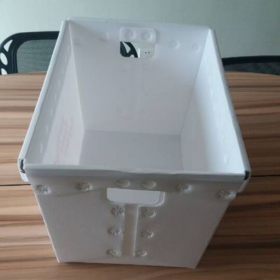 I totalizzatori postali dei pp hanno ondulato la scatola di plastica 3mm Coroplast di volume d'affari