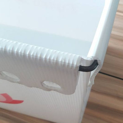 I totalizzatori postali dei pp hanno ondulato la scatola di plastica 3mm Coroplast di volume d'affari