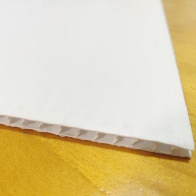Il bordo vuoto Coroplast del polipropilene dell'OEM ha ondulato la plastica impermeabile