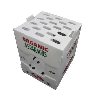 5mm impermeabili hanno ondulato le scatole di plastica ondulate riutilizzabili di plastica dei silos di immagazzinamento pp