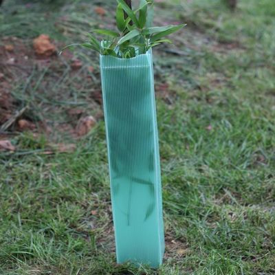 Corflute ha ondulato duro le guardie di plastica di plastica dell'albero dell'involucro 2mm dell'albero