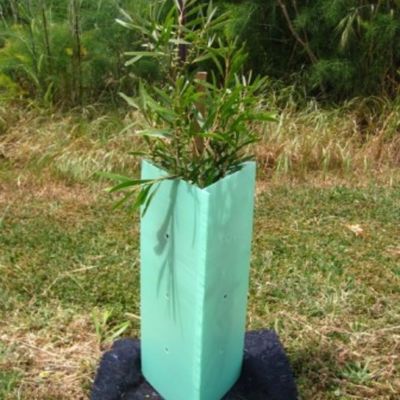 Corflute ha ondulato duro le guardie di plastica di plastica dell'albero dell'involucro 2mm dell'albero