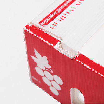 Scatole di cartone Coroplast Kiwi Fruit Packing Box dei prodotti freschi di Corflute