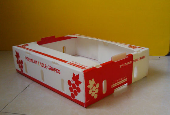Scatole di cartone Coroplast Kiwi Fruit Packing Box dei prodotti freschi di Corflute