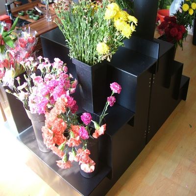 Banco di mostra del fiore fresco del nero 5mm Corflute per il giardino domestico