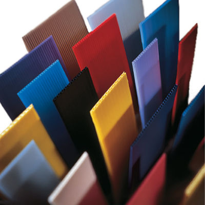 Il bianco ha ondulato variopinto stampabile dello strato di plastica degli strati 4x8 Coroplast