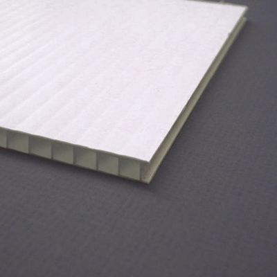 Bordo vuoto della parete della chiara plastica trasparente gemellata di Coroplast 4x8 Coroplast