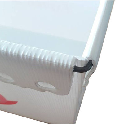 Totalizzatore di plastica ondulato impermeabile 4mm della posta 5mm Coroplast