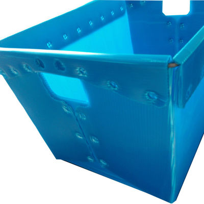 Posta di plastica Tote Extruded Twinwall Plastic Board di piegatura multicolore