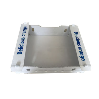 Scatole di plastica ondulate pieghevoli 4mm delle scatole di spedizione 3mm di Coroplast di colore pieno