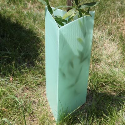 Il triangolo ha ondulato le guardie di plastica della pianta delle guardie 2mm Corflute dell'albero