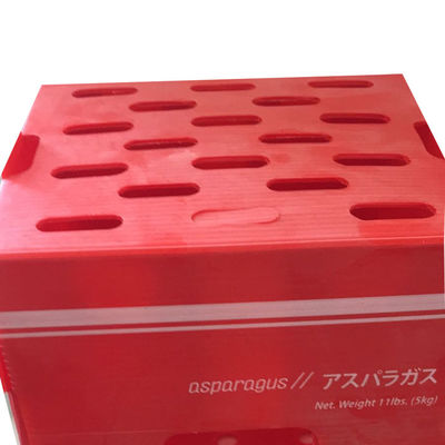 Il Velcro pp scava la scatola 5mm ha ondulato il volume d'affari di plastica della scatola di imballaggio rosso