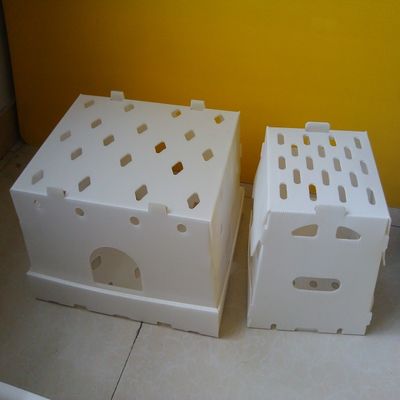 Il volume d'affari pp ha ondulato le scatole di stoccaggio di Corflute della cavità della scatola di plastica