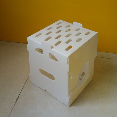 Il volume d'affari pp ha ondulato le scatole di stoccaggio di Corflute della cavità della scatola di plastica