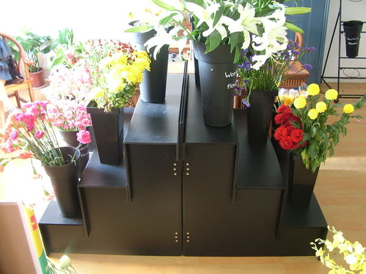 Punto floreale di plastica ondulato di punto 4 del banco di mostra 3 per il negozio di fiore