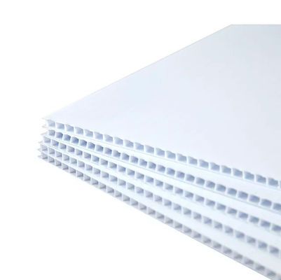 bordo vuoto dello strato 5mm Coreflute del polipropilene di 4mm Coreflute