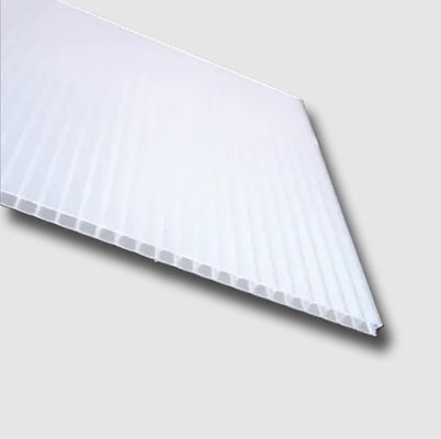 bordo vuoto dello strato 5mm Coreflute del polipropilene di 4mm Coreflute