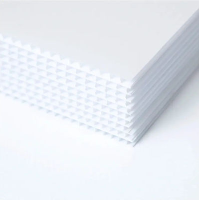 bordo vuoto dello strato 5mm Coreflute del polipropilene di 4mm Coreflute