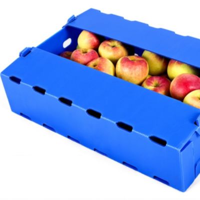 Frutta blu di Coroplast Apple che imballa resistente di umidità del polipropilene della scatola