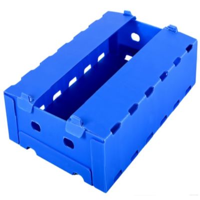 Frutta blu di Coroplast Apple che imballa resistente di umidità del polipropilene della scatola