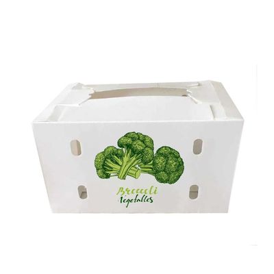Scatola di imballaggio di verdure riutilizzabile d'imballaggio dei contenitori di pomodoro pieghevole di Coroplast