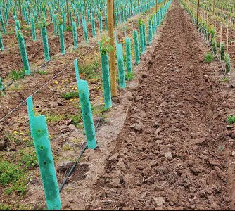 L'albero ondulato di Corflute custodice le guardie dell'albero del polipropilene di 3mm