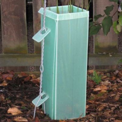 Impatto di Corflute Vine Protectors della guardia di plastica dell'albero del polipropilene anti