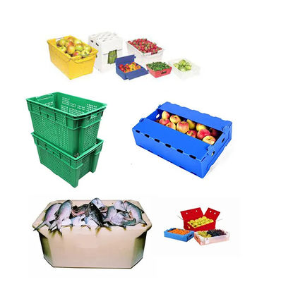 Contenitori di imballaggio d'imballaggio della pesca di Coroplast di verde del contenitore di frutta del polipropilene