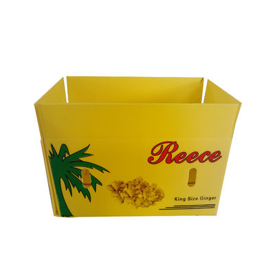 Scatole di plastica ondulate riutilizzabili 3mm d'imballaggio del contenitore 4mm di frutta dell'asparago