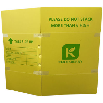 Scatole di imballaggio in plastica ondulata progettate per il pubblico e il commercio che forniscono prestazioni nei sistemi di gestione dei rifiuti