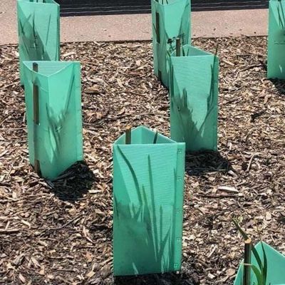 Protezione UV per protezioni per alberi in plastica verde da 3 mm impermeabile
