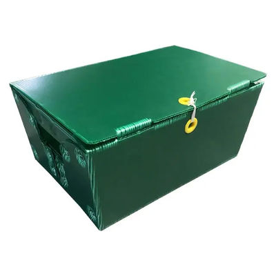 Rigido postale di Tote Corrugated Plastic Boxes Bins della posta del polipropilene su misura con le maniglie