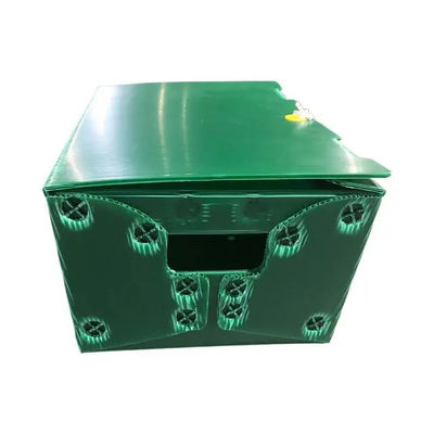 Rigido postale di Tote Corrugated Plastic Boxes Bins della posta del polipropilene su misura con le maniglie
