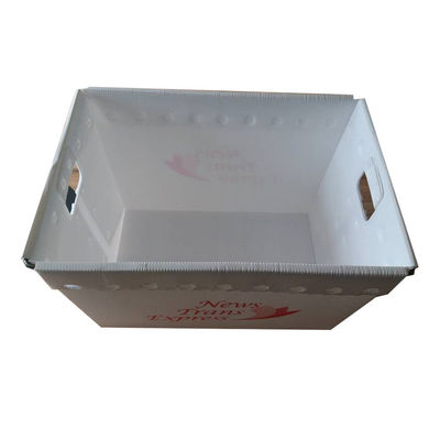 Posta postale Tote Hollow Boxes Bins Rigid dei pp su misura con le maniglie