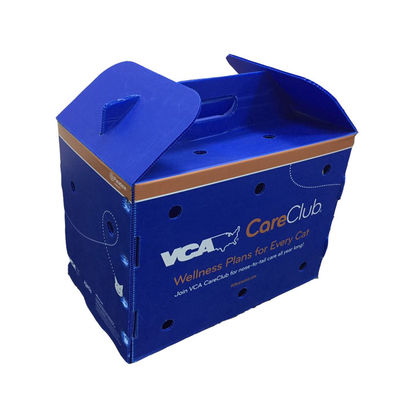 Scatola di imballaggio per frutta sicura per alimenti realizzata in materiale polipropilene che offre caratteristiche impermeabili e antiurto per le soluzioni di spedizione di frutta