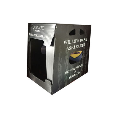 Scatola di imballaggio per ortaggi realizzata in plastica ondulata in polipropilene che offre un'eccellente resistenza all'umidità e ai parassiti