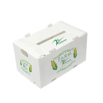 Il polipropilene ha ondulato il trasporto di plastica di stoccaggio dell'imballaggio del contenitore di frutta