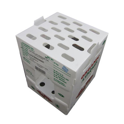 Scatola di imballaggio per ortaggi in polipropilene Scatola di plastica corrugata in PP personalizzata