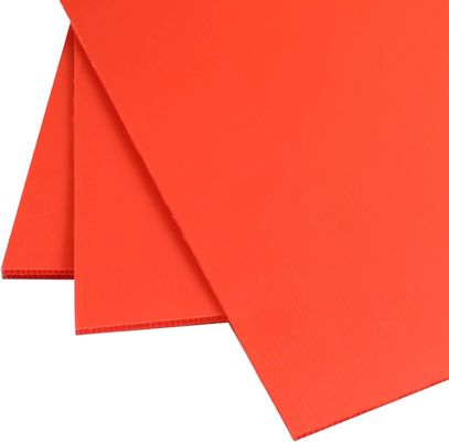 Polipropilene carta di plastica corrugata Corflute Board personalizzato durevole