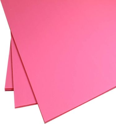 Polipropilene carta di plastica corrugata Corflute Board personalizzato durevole