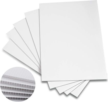 Carta di plastica corrugata in PP Corflute Foldable Lightweight Customized Durable