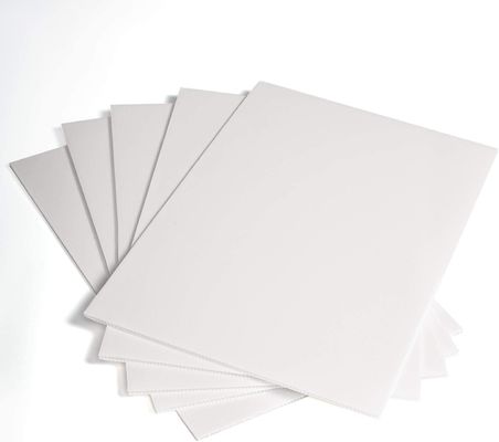 Carta di plastica corrugata in PP Corflute Foldable Lightweight Customized Durable